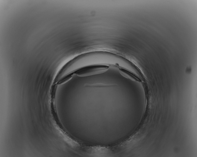 X0000089971024200707061156