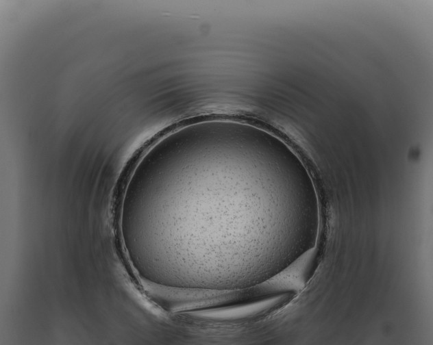 X0000089971026200707061156