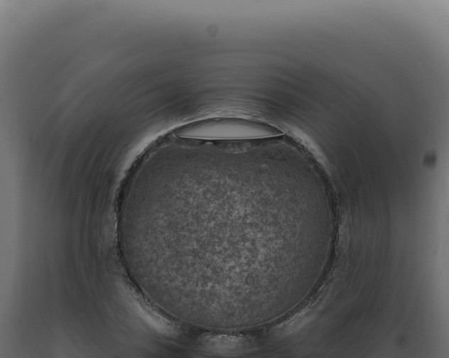 X0000089971027200707061156