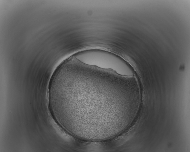 X0000089971028200707061156