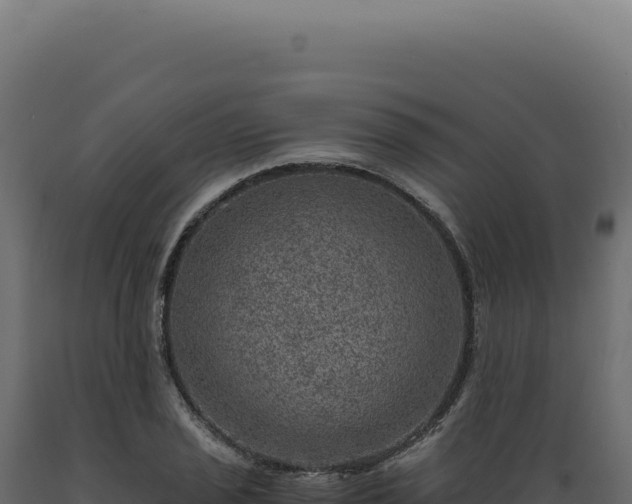 X0000089971029200707061156
