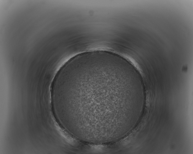 X0000089971031200707061156