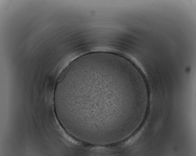 X0000089971033200707061156