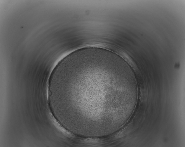 X0000089971036200707061156