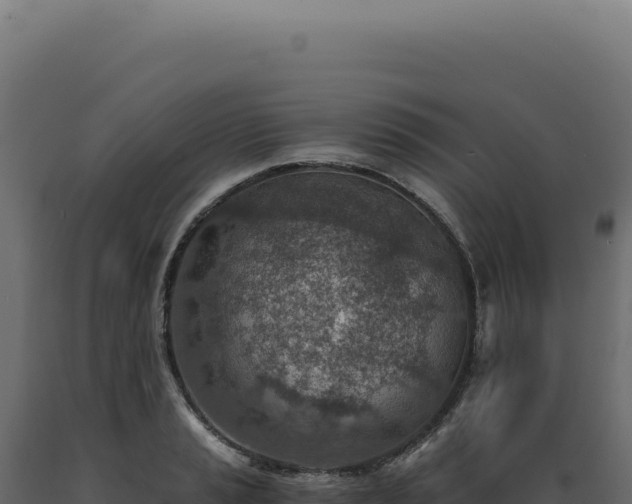X0000089971037200707061156