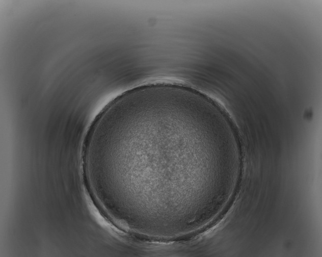 X0000089971038200707061156