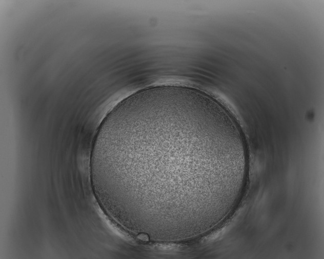 X0000089971041200707061157