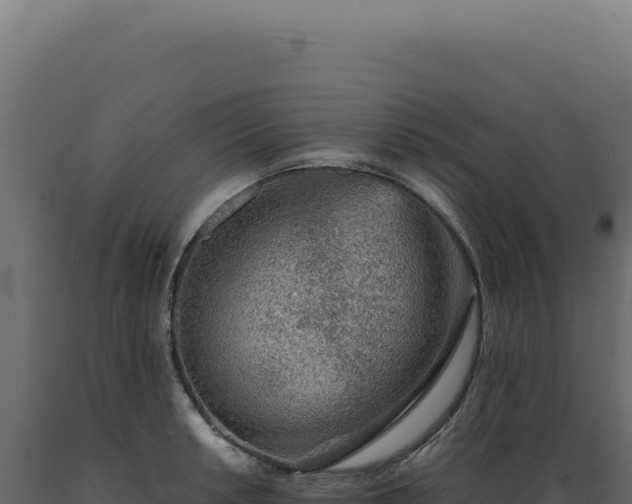 X0000089971042200707061157