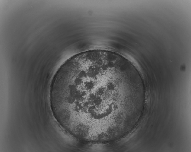 X0000089971043200707061157