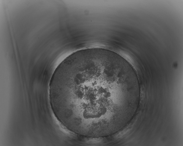 X0000089971047200707061157