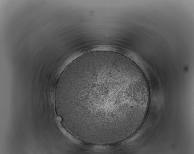 X0000089971049200707061157