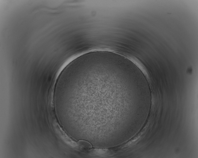 X0000089971052200707061157