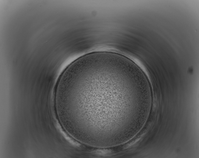 X0000089971053200707061157