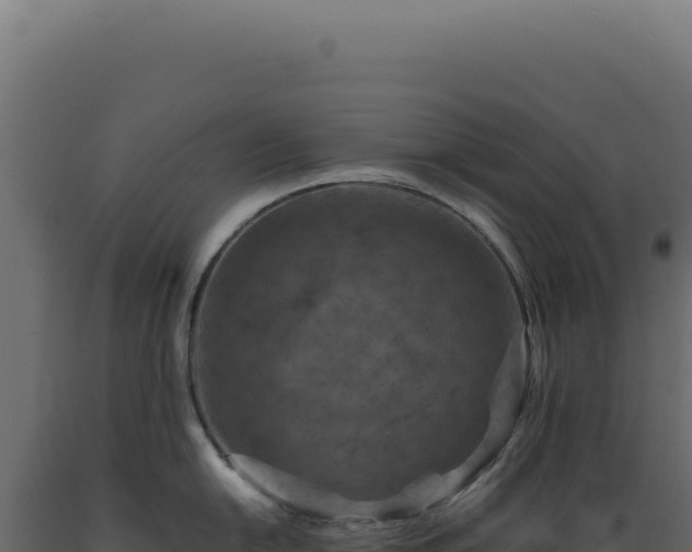 X0000089971054200707061157