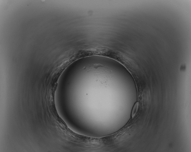 X0000089971058200707061156