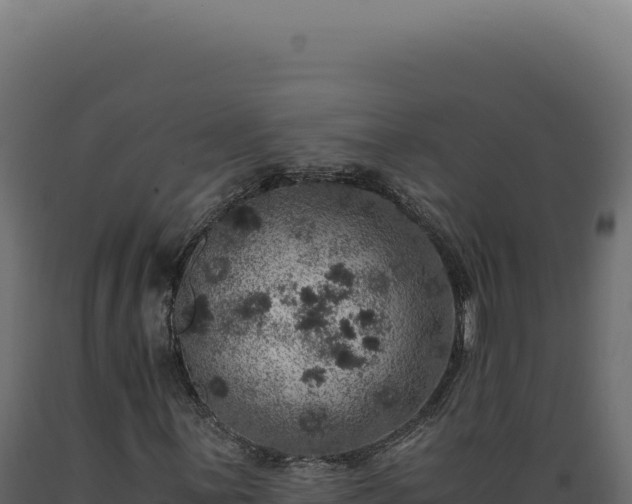 X0000089971059200707061156