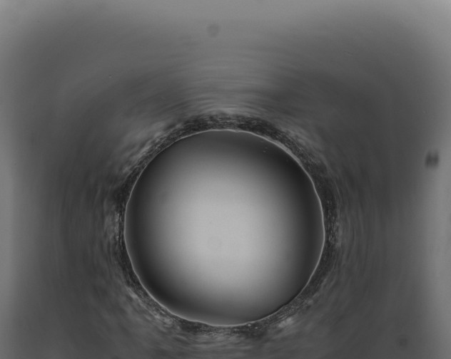 X0000089971061200707061156