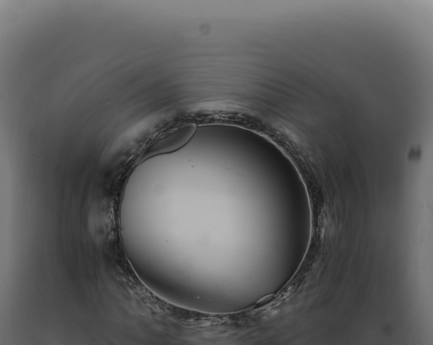 X0000089971062200707061156