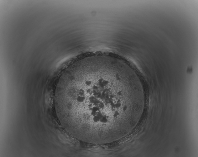 X0000089971063200707061156