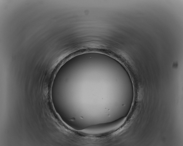 X0000089971065200707061156
