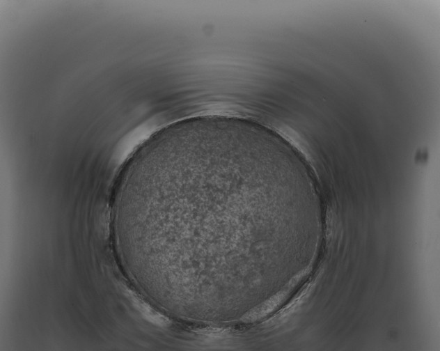 X0000089971067200707061156
