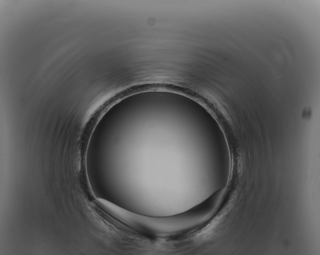 X0000089971069200707061156