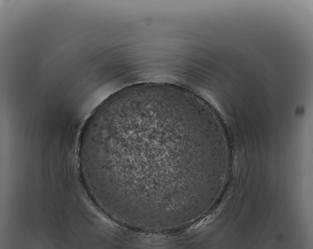 X0000089971071200707061156