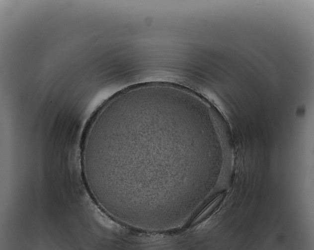 X0000089971072200707061156