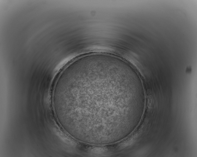 X0000089971074200707061156