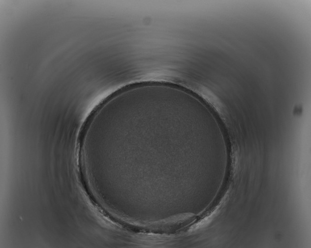 X0000089971077200707061156
