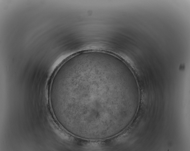 X0000089971078200707061156
