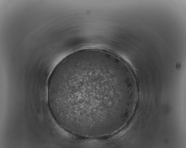 X0000089971079200707061156