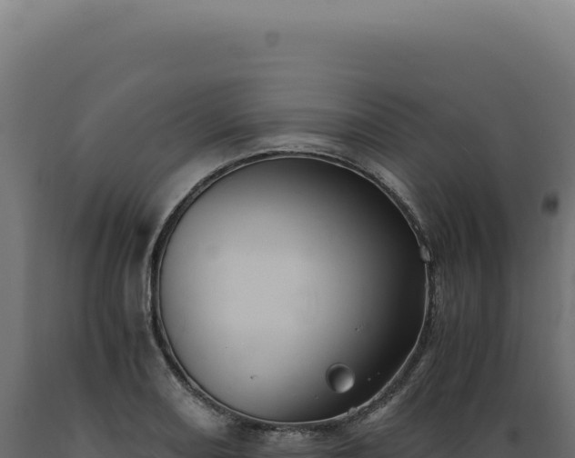 X0000089971082200707061156
