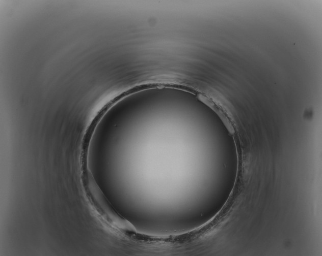 X0000089971085200707061156