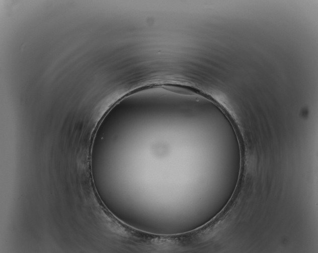 X0000089971089200707061156