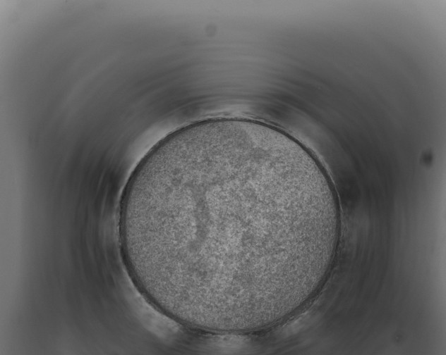 X0000089971090200707061156