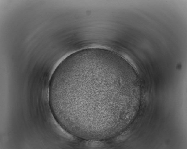 X0000089971092200707061156