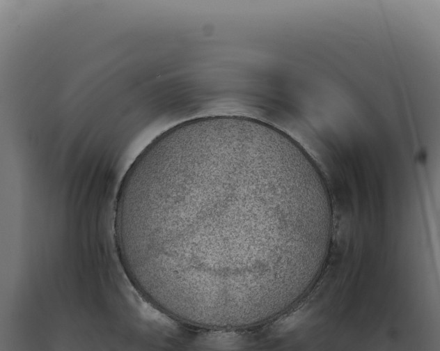 X0000089971094200707061156