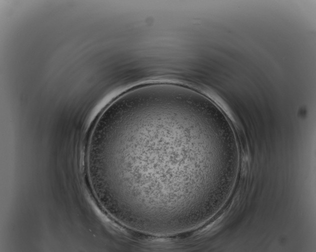 X0000089971101200707061156