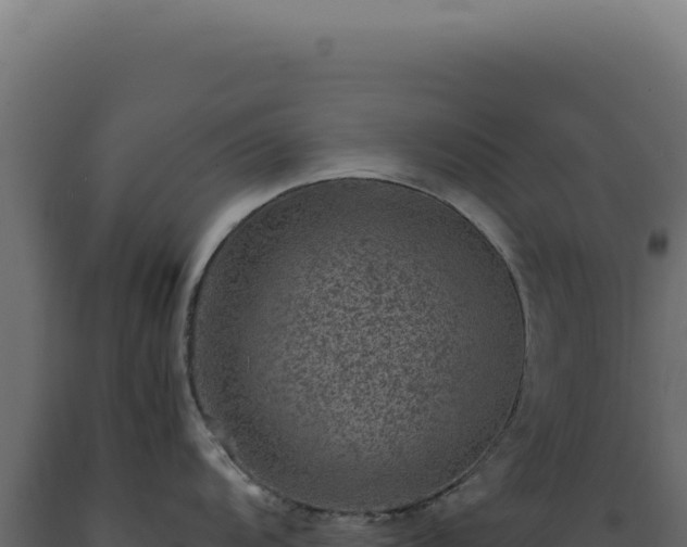 X0000089971104200707061156