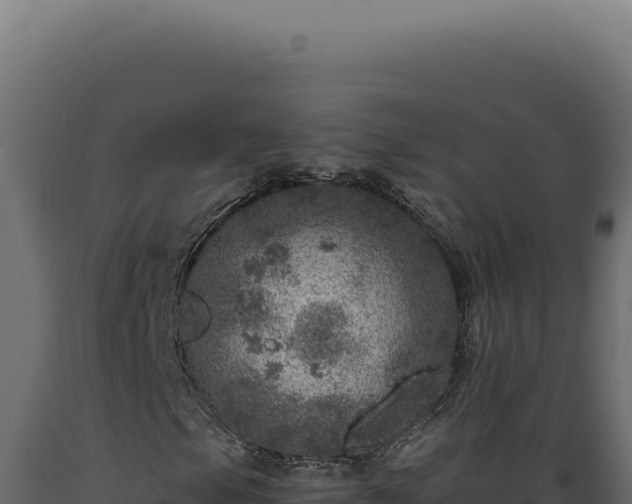 X0000089971105200707061155