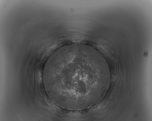 X0000089971106200707061155