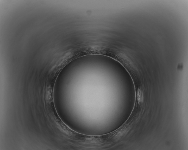 X0000089971107200707061155