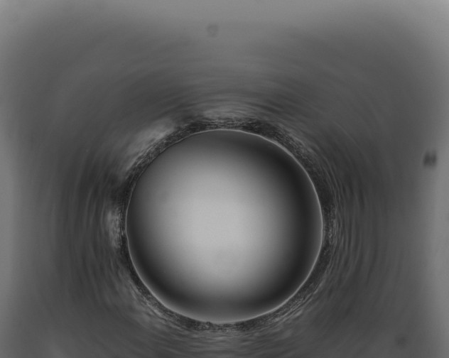 X0000089971108200707061155
