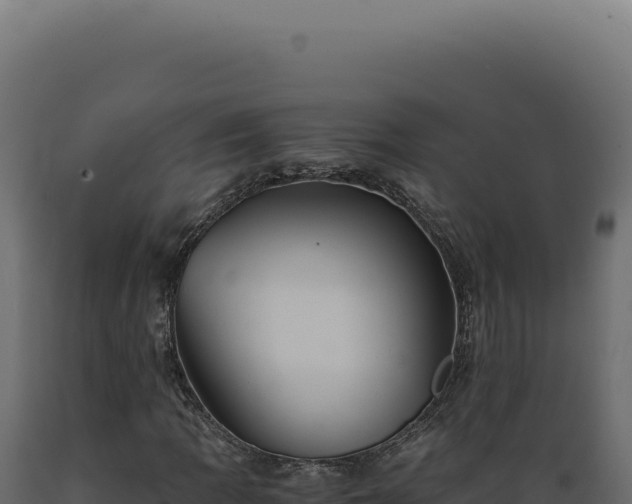 X0000089971109200707061155