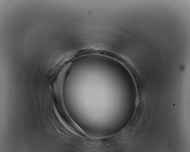 X0000089971110200707061155