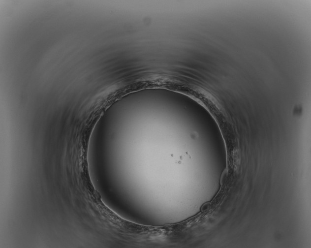 X0000089971111200707061155