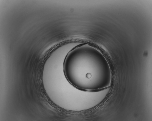 X0000089971112200707061155