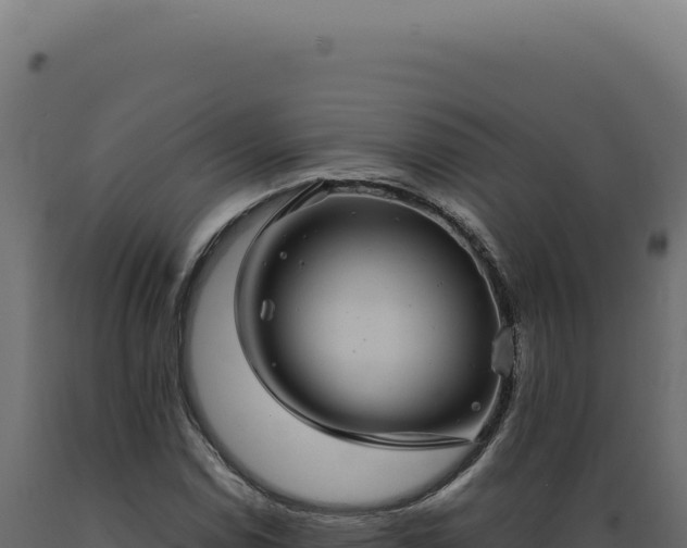 X0000089971114200707061155