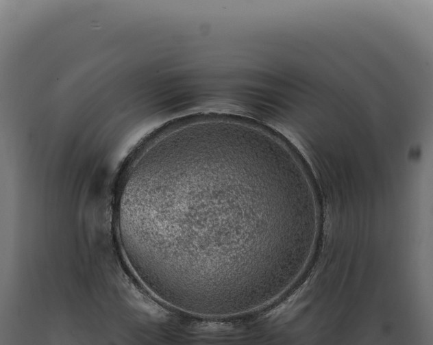 X0000089971115200707061155